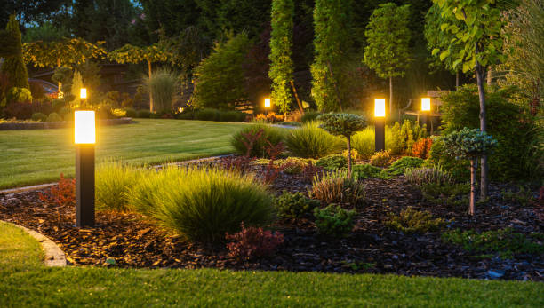 Row of bollard lights illuminating lawn, grasses and ornamental trees at night