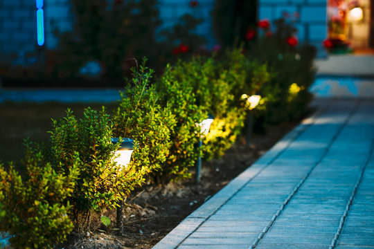 Low path lights glowing along a hedge beside a paver walkway