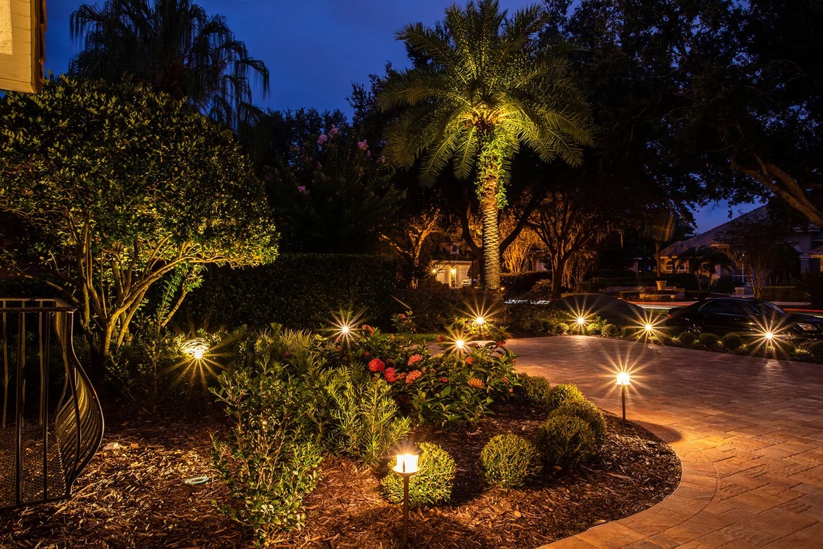 Sabal palm uplit at dusk above landscape beds and a paver driveway lined with path lights